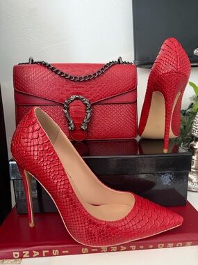 Red Snake-Texture Stiletto Pumps and matching Handbag set